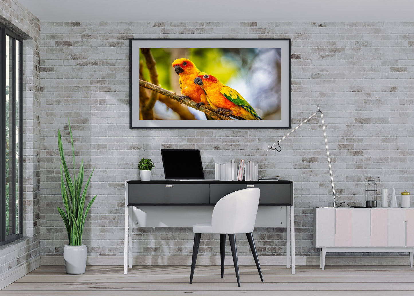 Paired Parrots in Puerto Rico