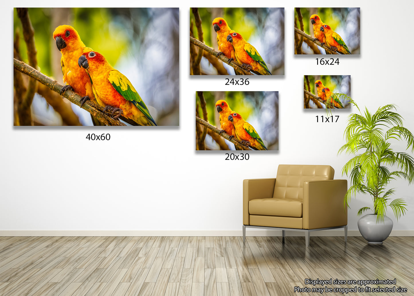 Paired Parrots in Puerto Rico
