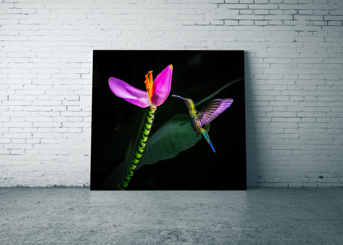 Nectar in the Dark