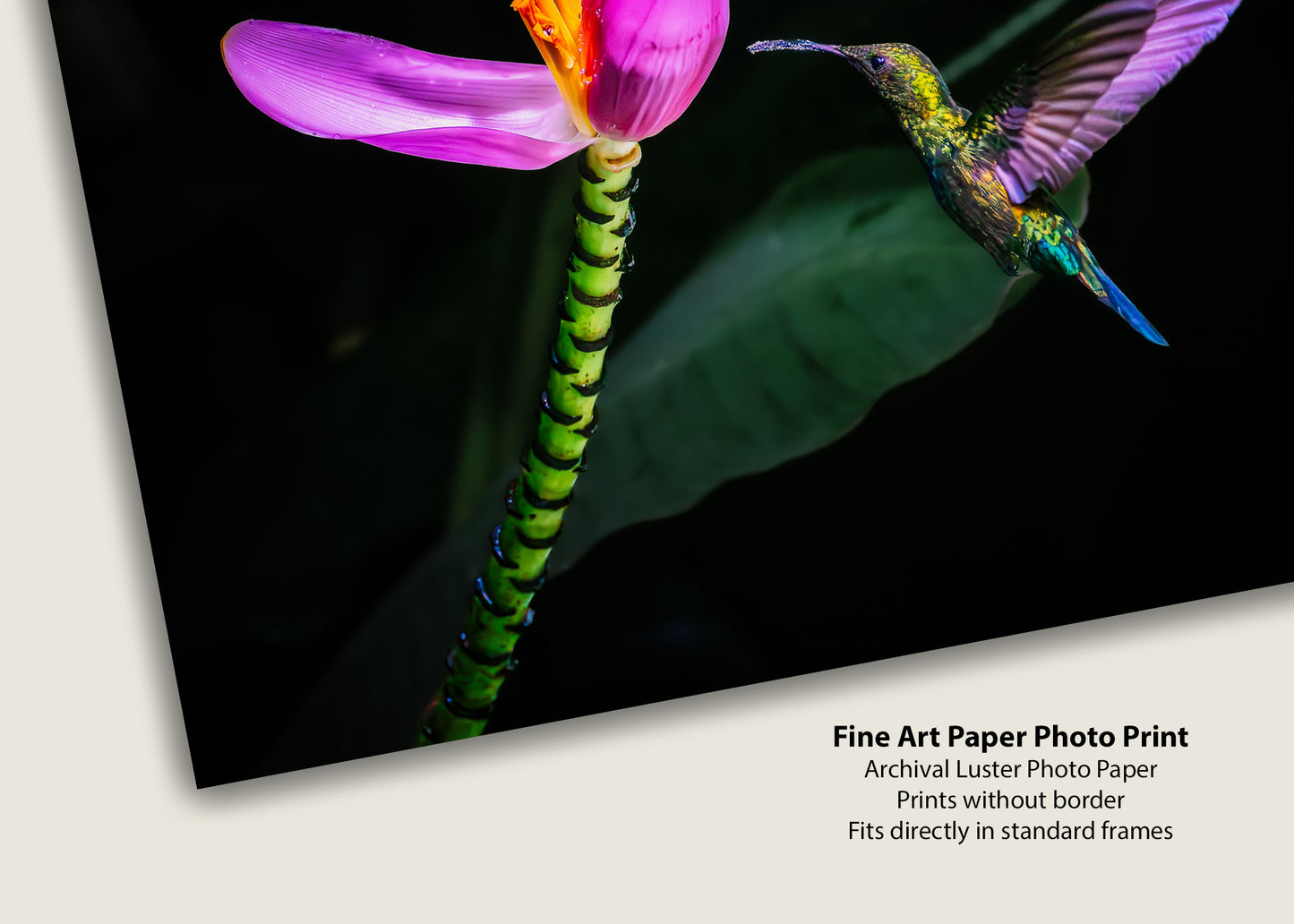 Nectar in the Dark