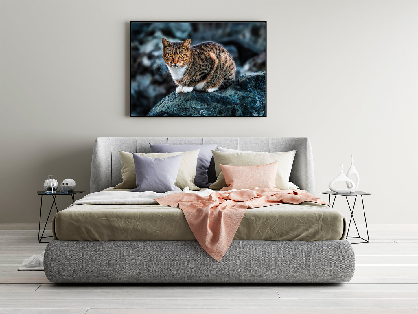 The Cat on the Coast