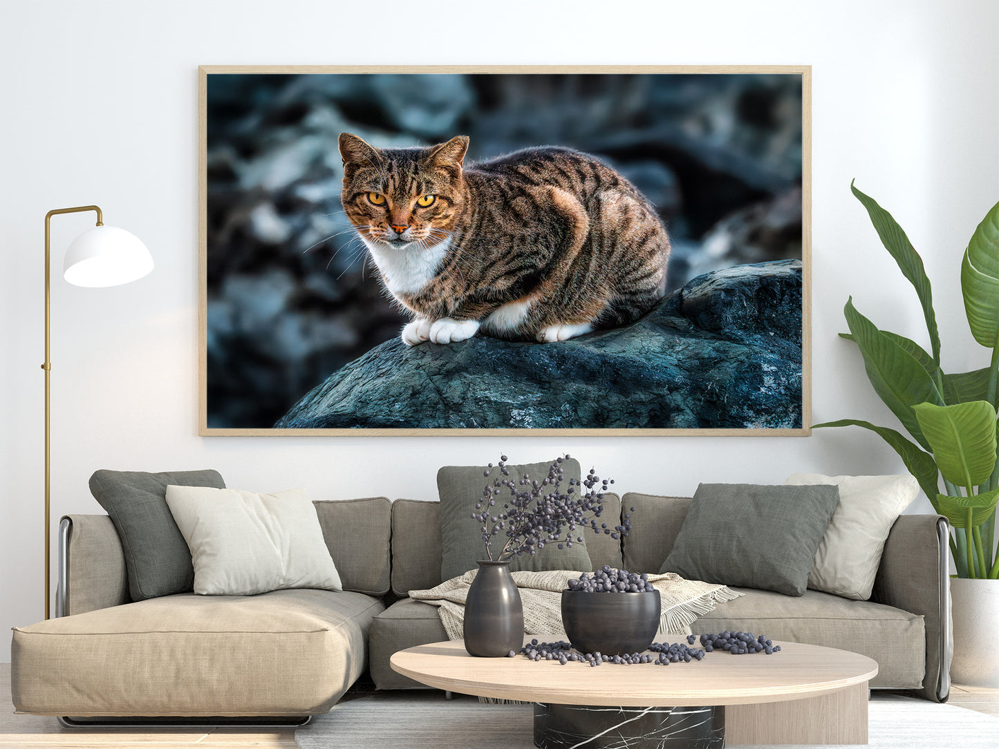 The Cat on the Coast