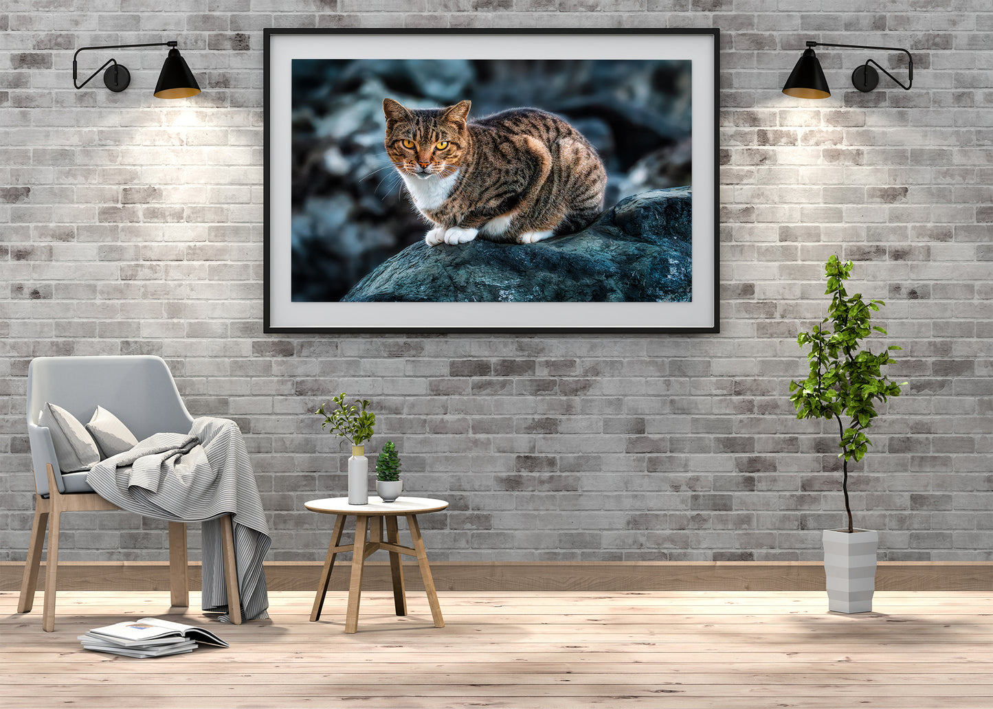 The Cat on the Coast