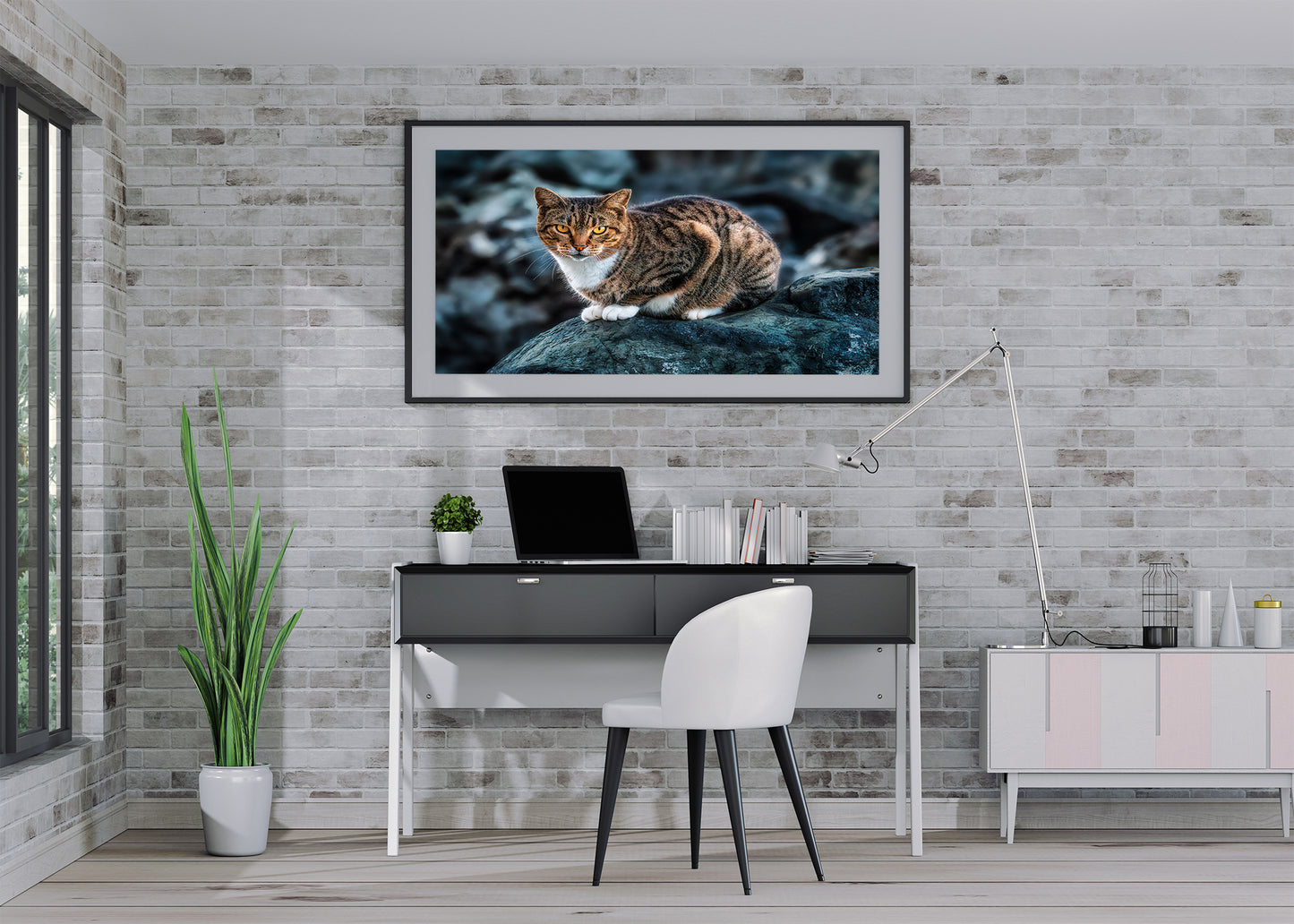The Cat on the Coast