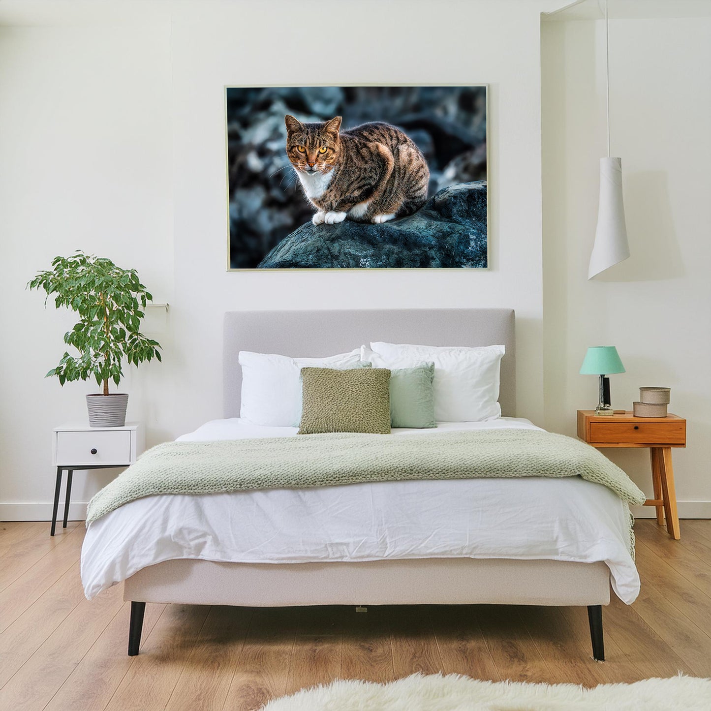The Cat on the Coast