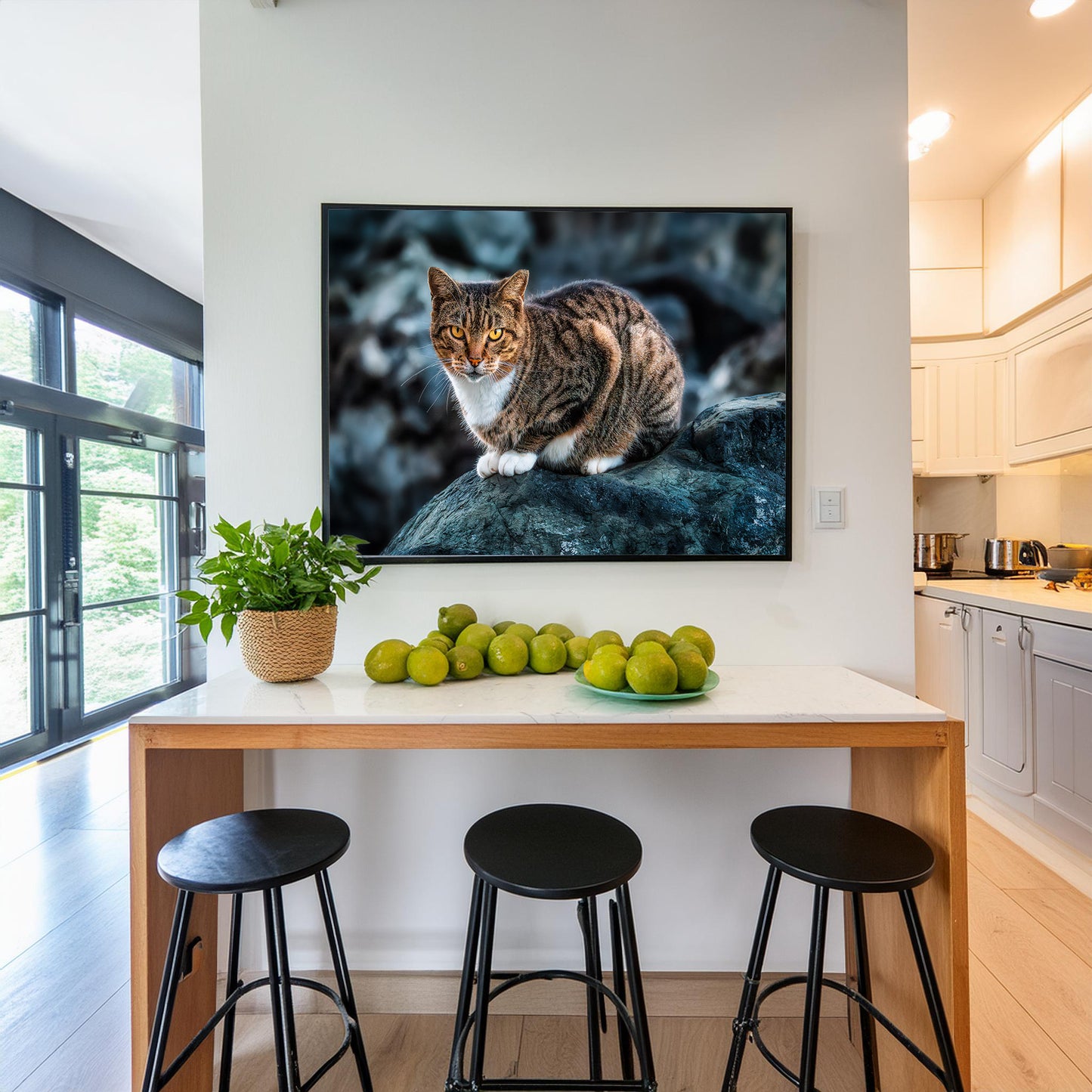 The Cat on the Coast