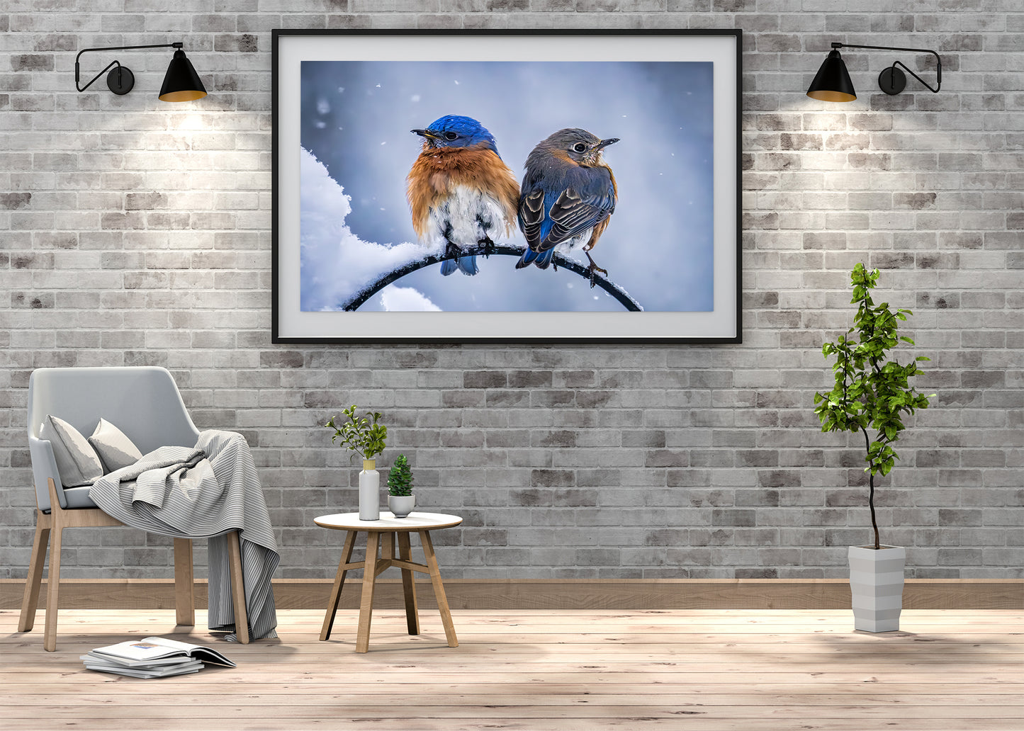 Two Cold Bluebirds