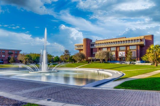 Reflection on Higher Education at UCF