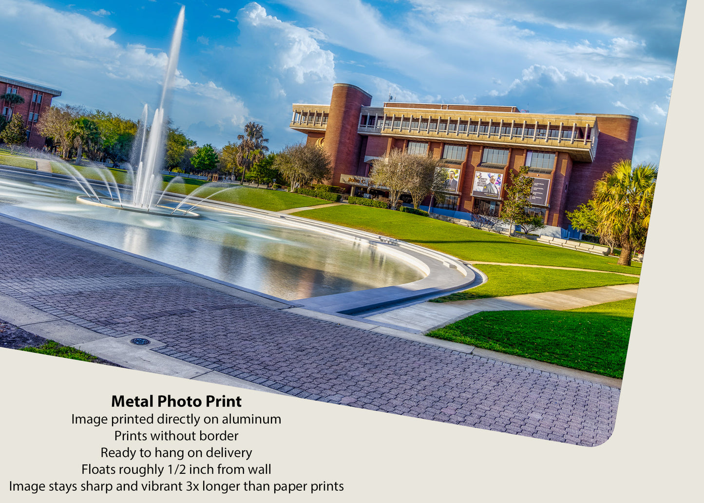 Reflection on Higher Education at UCF