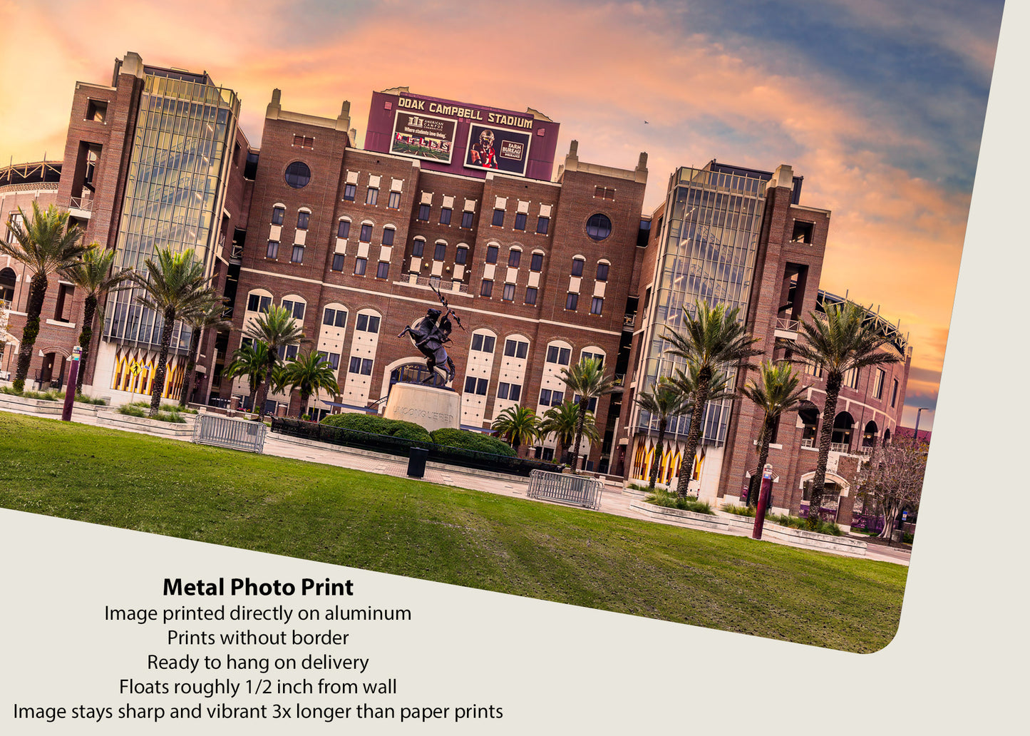 Dawn at Doak Campbell