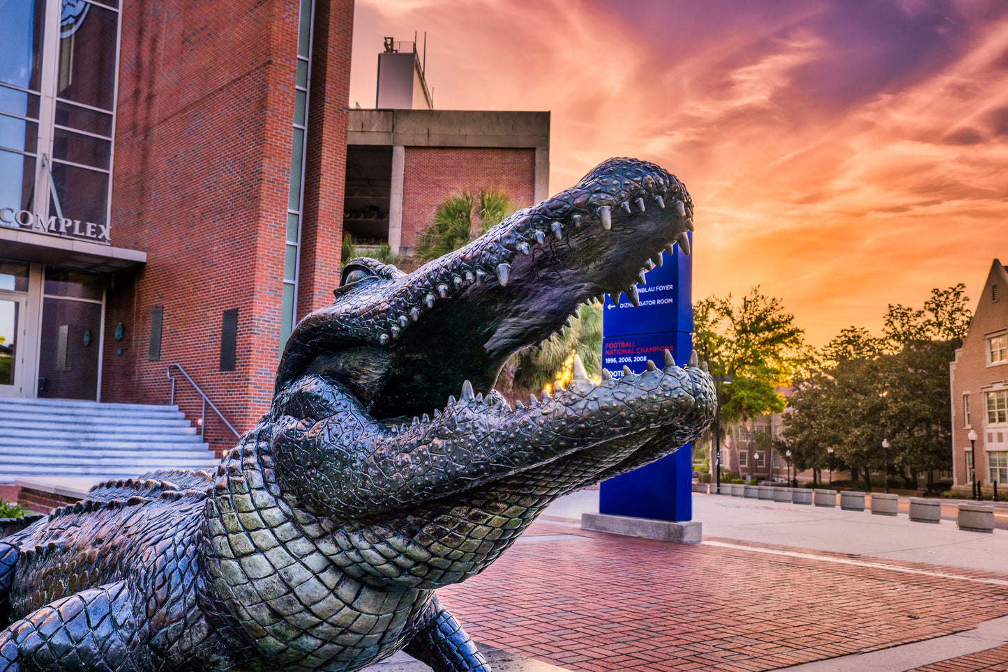 First Chomp at Dawn