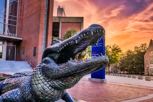 First Chomp at Dawn