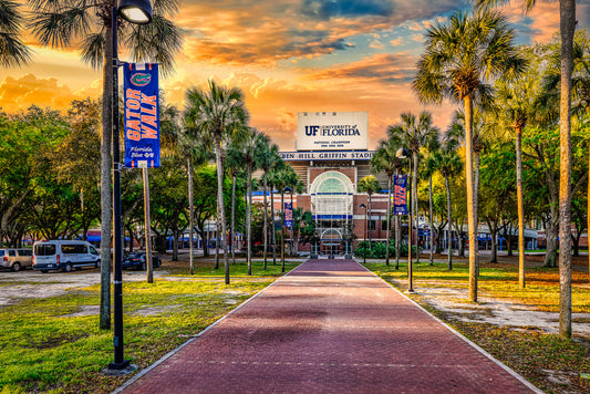 The Swamp at Sunrise