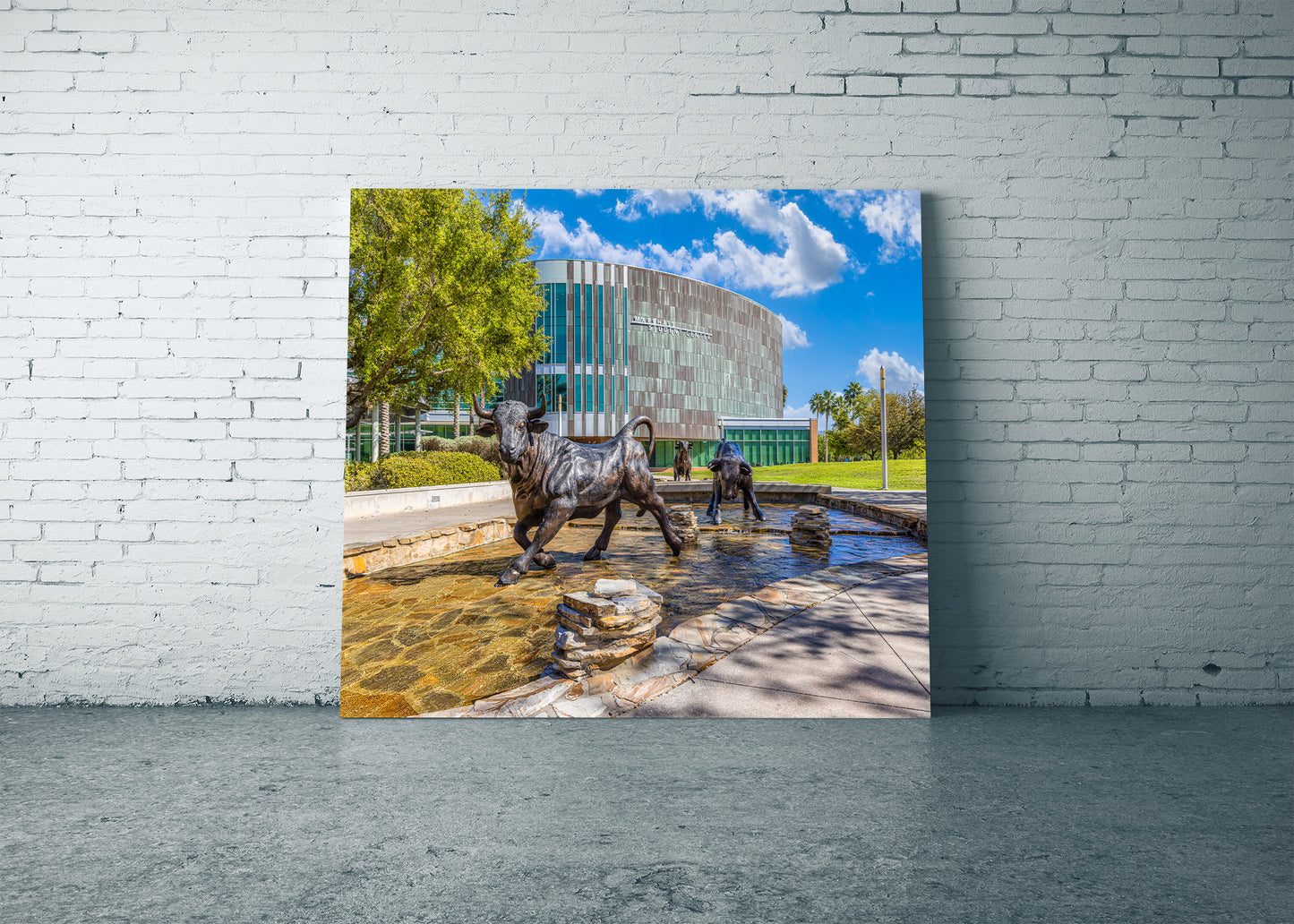 Running with the USF Bulls