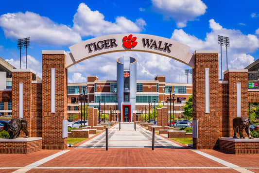 Where Tigers Walk