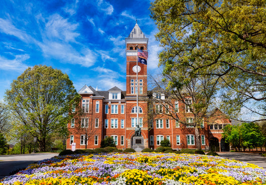 Clemson in Bloom
