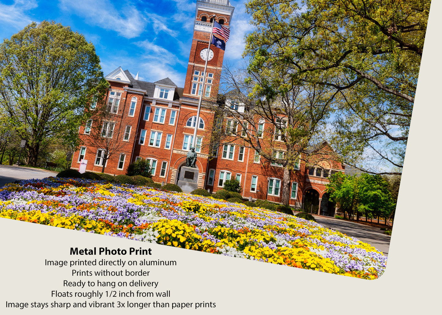 Clemson in Bloom