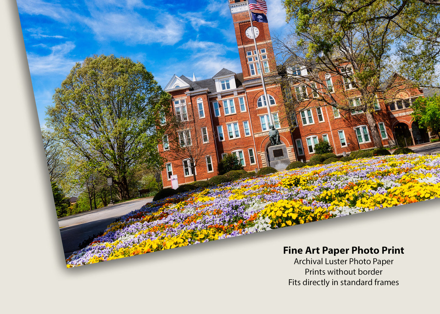Clemson in Bloom