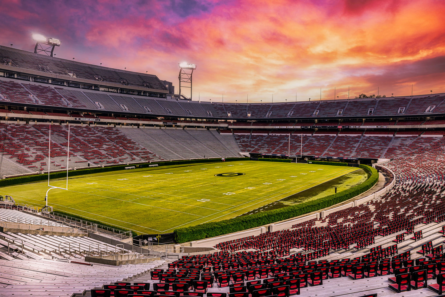A Dawg Day Dawning