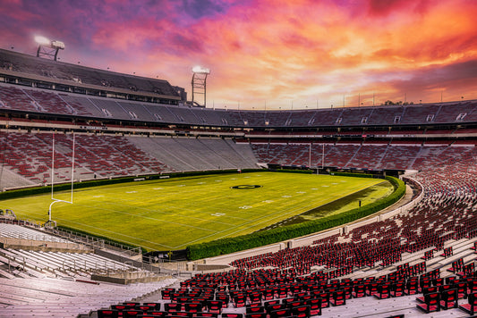 A Dawg Day Dawning