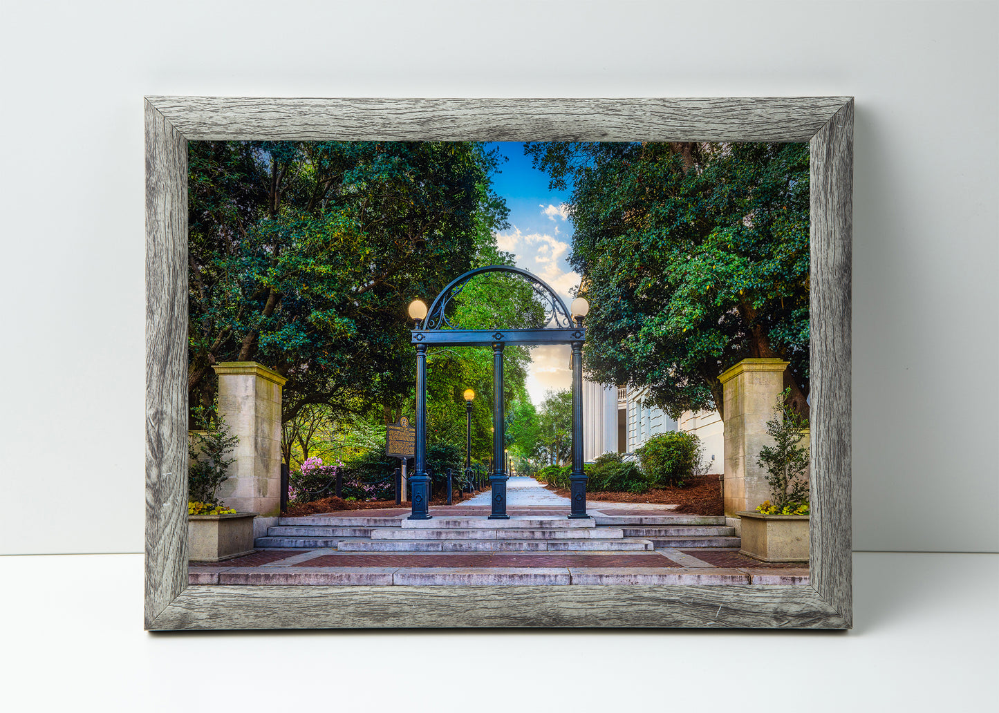 Under the Arch at Georgia