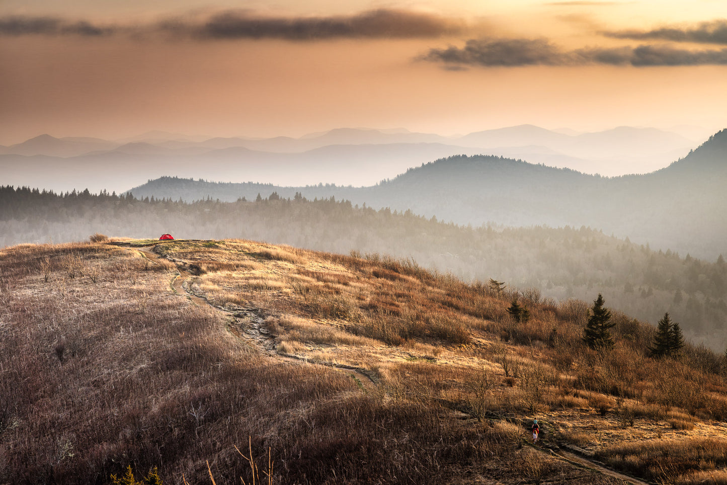 Copper Grass and Distant Peaks