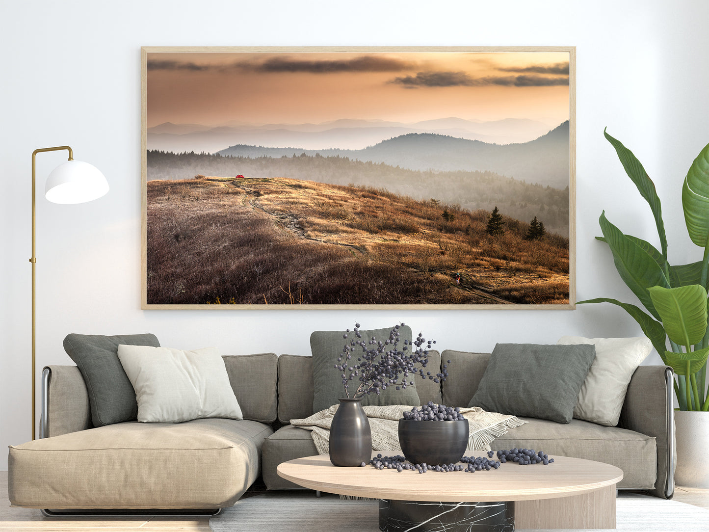 Copper Grass and Distant Peaks