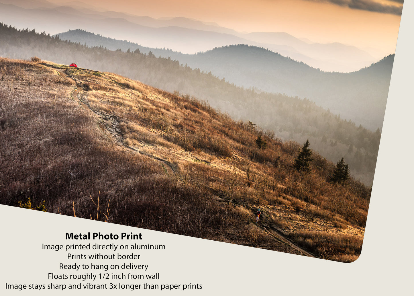 Copper Grass and Distant Peaks