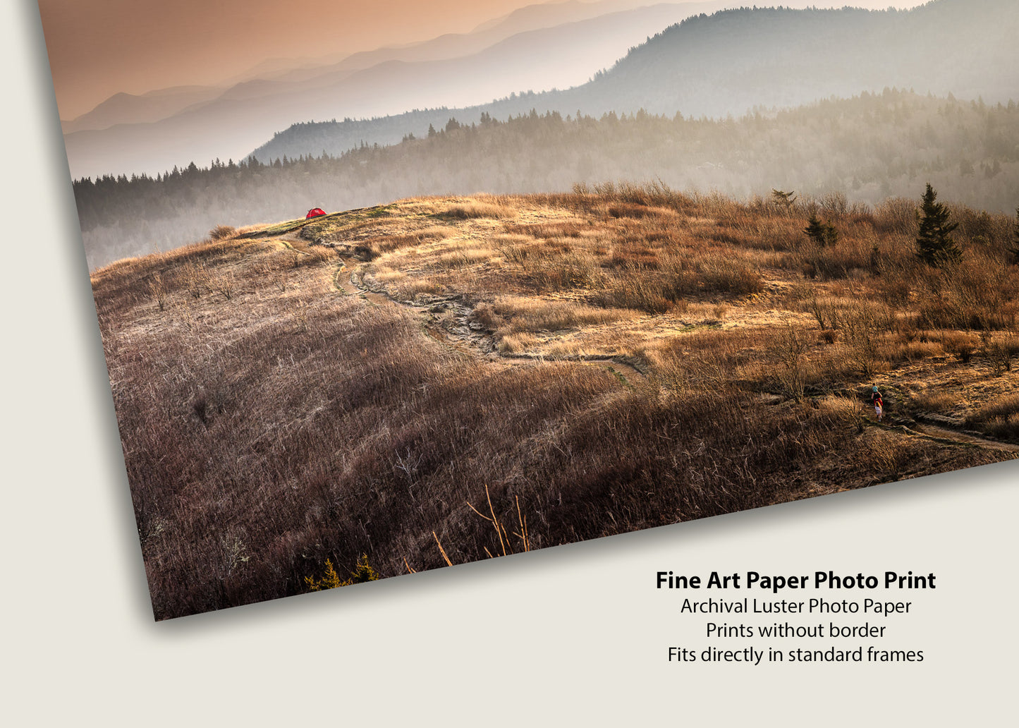 Copper Grass and Distant Peaks