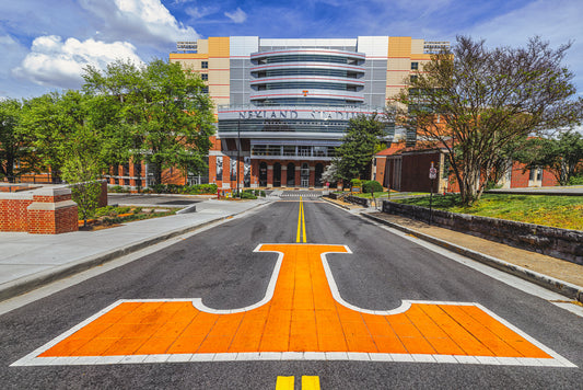 The Road to Neyland