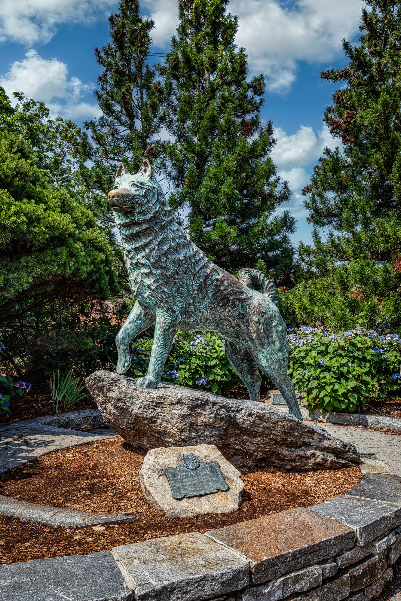 Top Dog on Campus (UConn)
