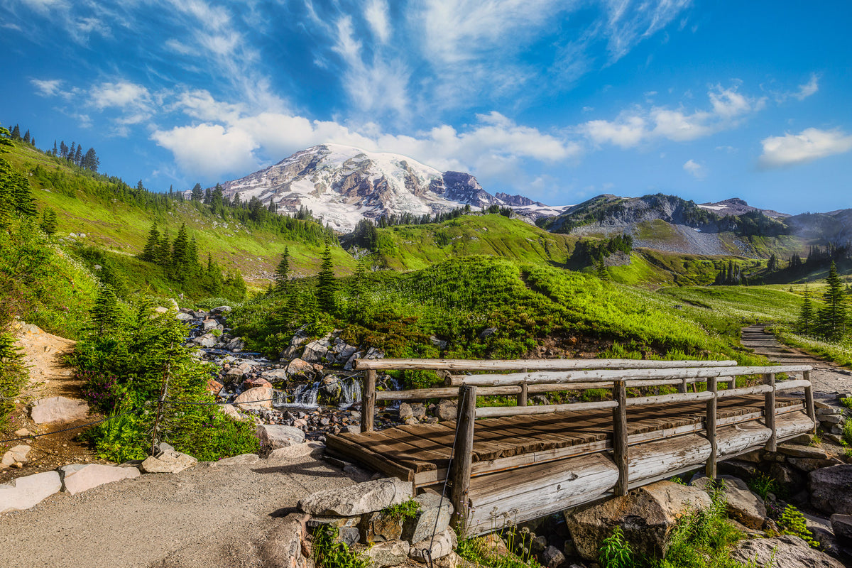 Wooden bridge along the Skyline Trail crossing a mountain stream amid green alpine meadows with snow-covered Mount Rainier rising beneath a blue summer sky.
