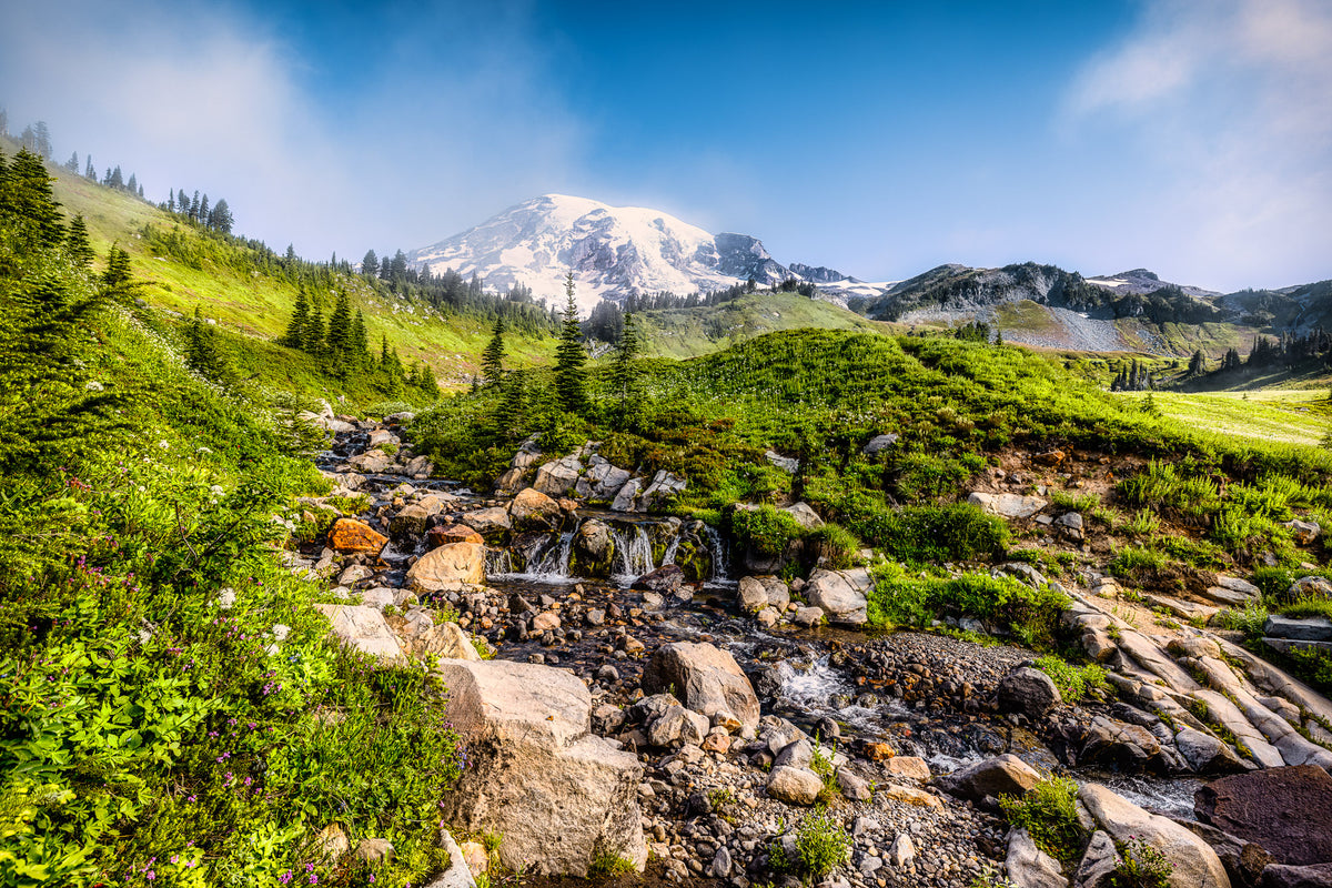 Mount Rainier rising above a rocky mountain stream, evergreen trees, wildflowers, and lush subalpine meadows in Mount Rainier National Park, Washington.