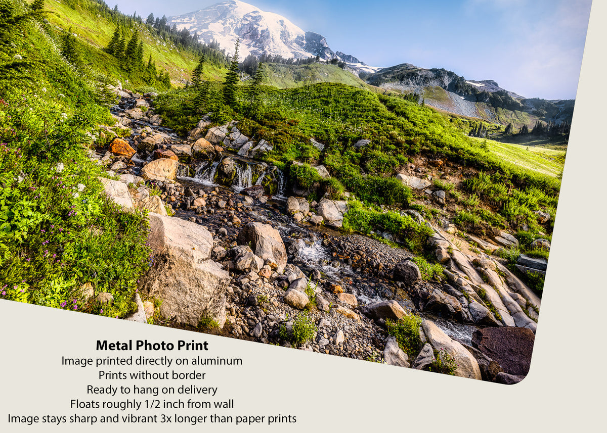 Finding Paradise at Mount Rainier