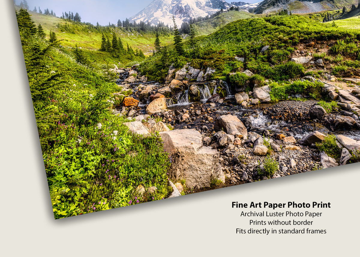 Finding Paradise at Mount Rainier