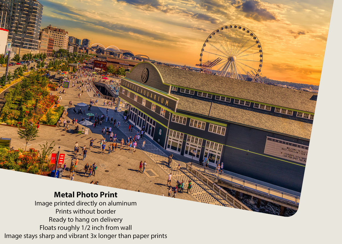 Steam into Sunset