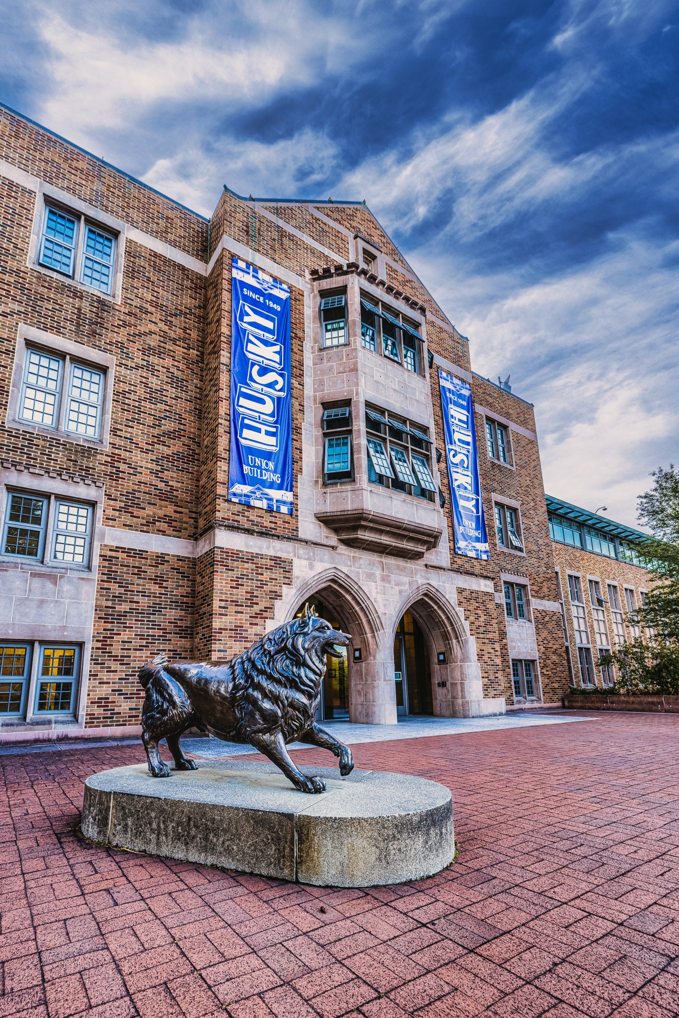 The Husky at the HUB