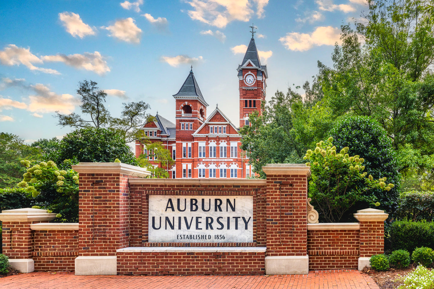 Welcome to Auburn