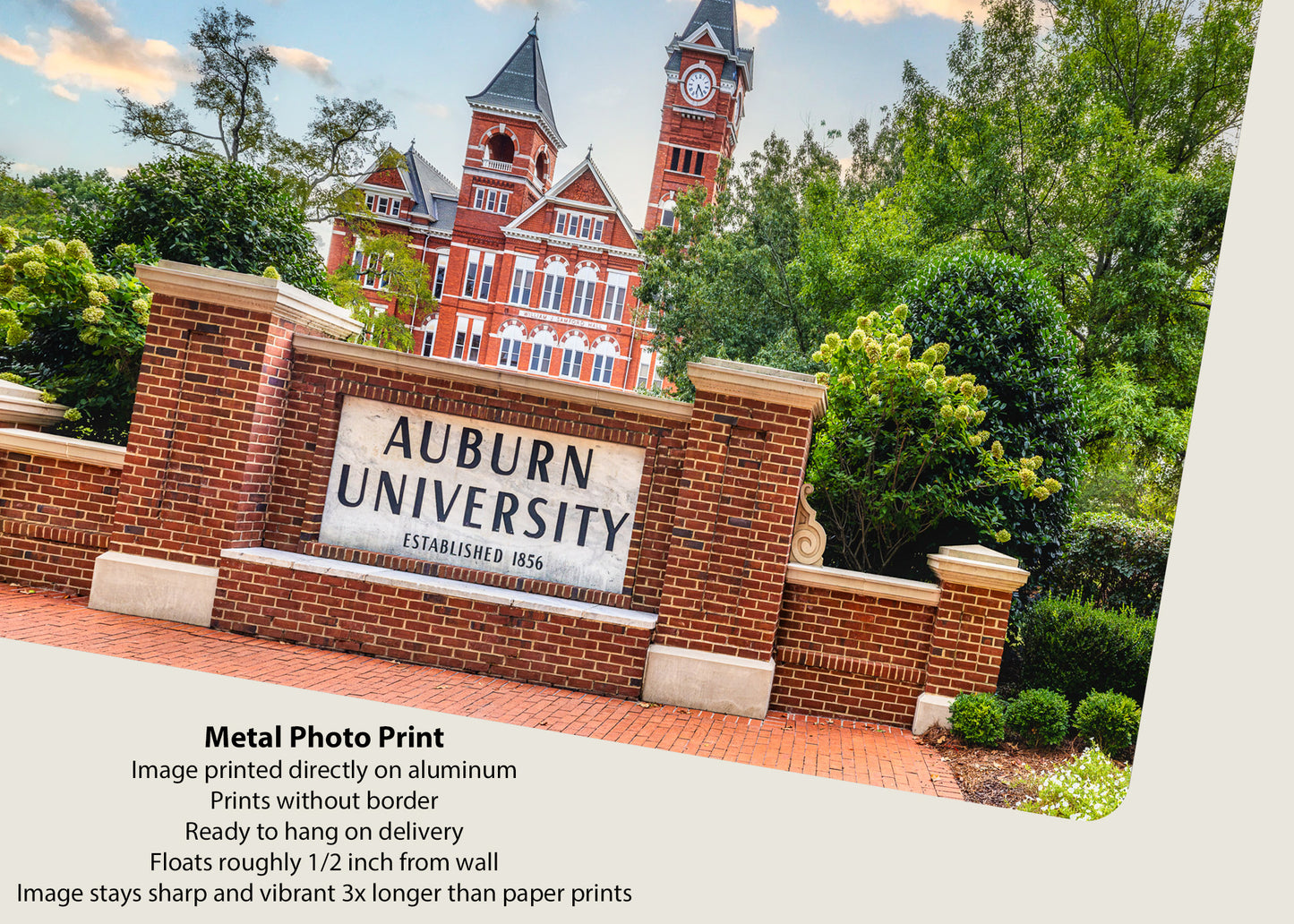 Welcome to Auburn