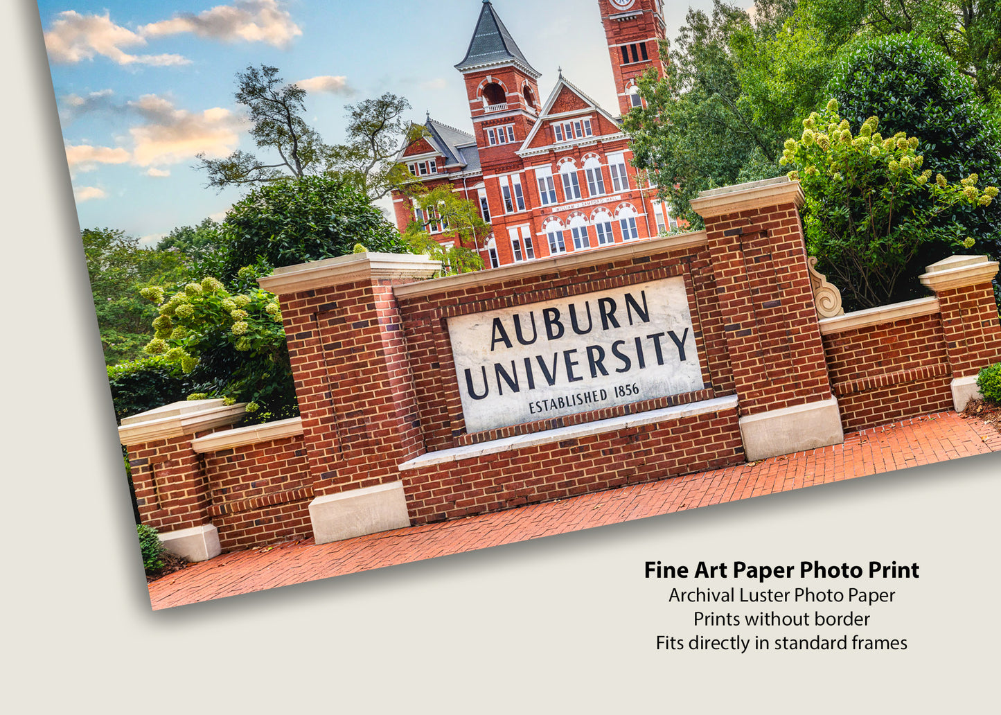Welcome to Auburn