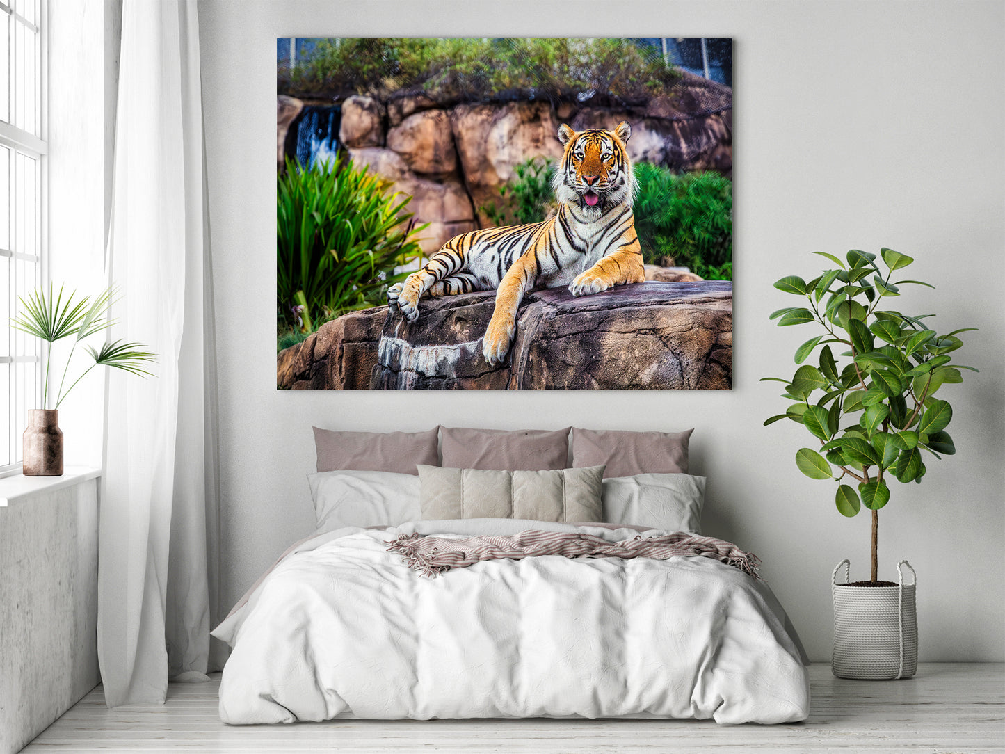 King of the Tigers
