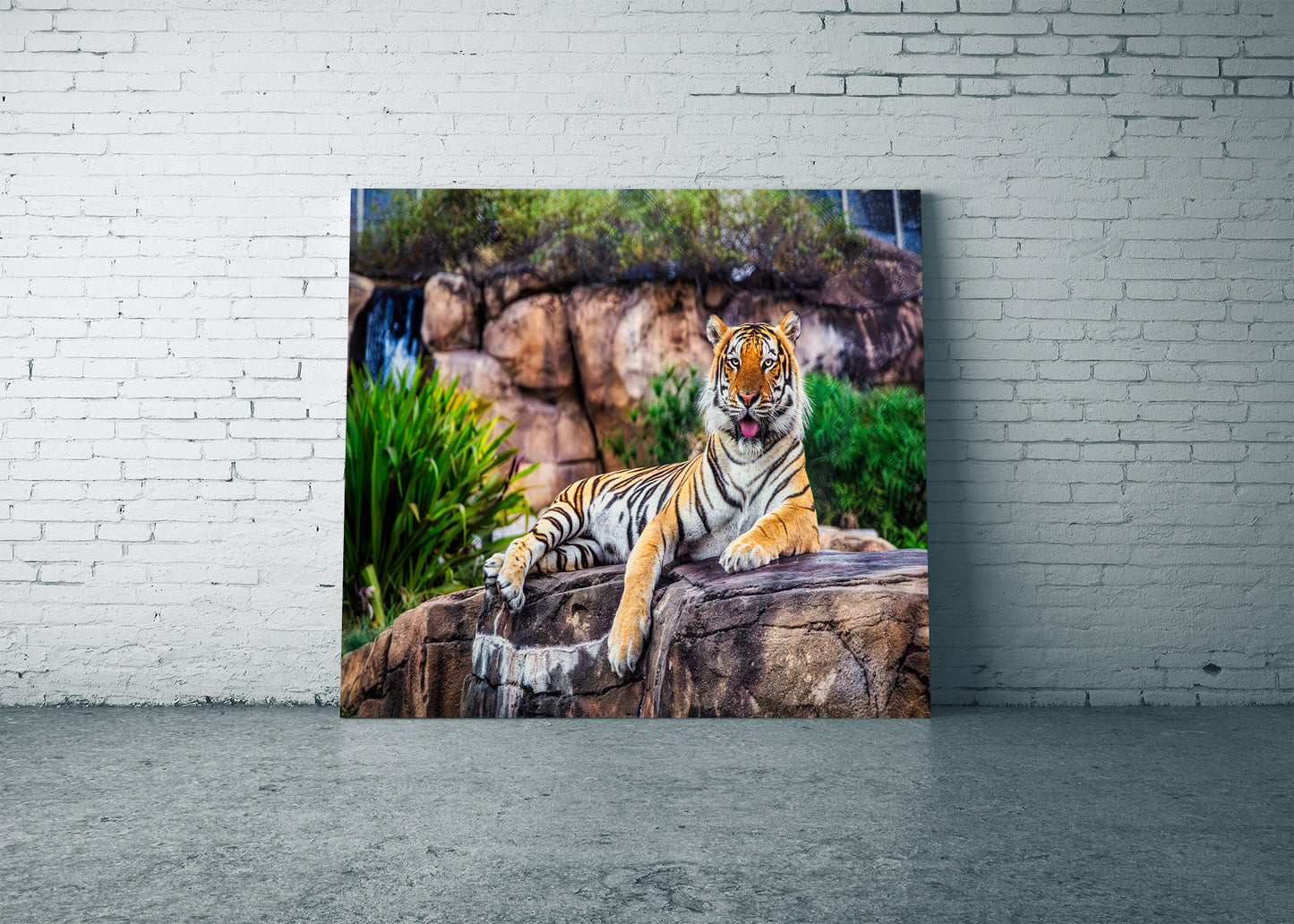 King of the Tigers