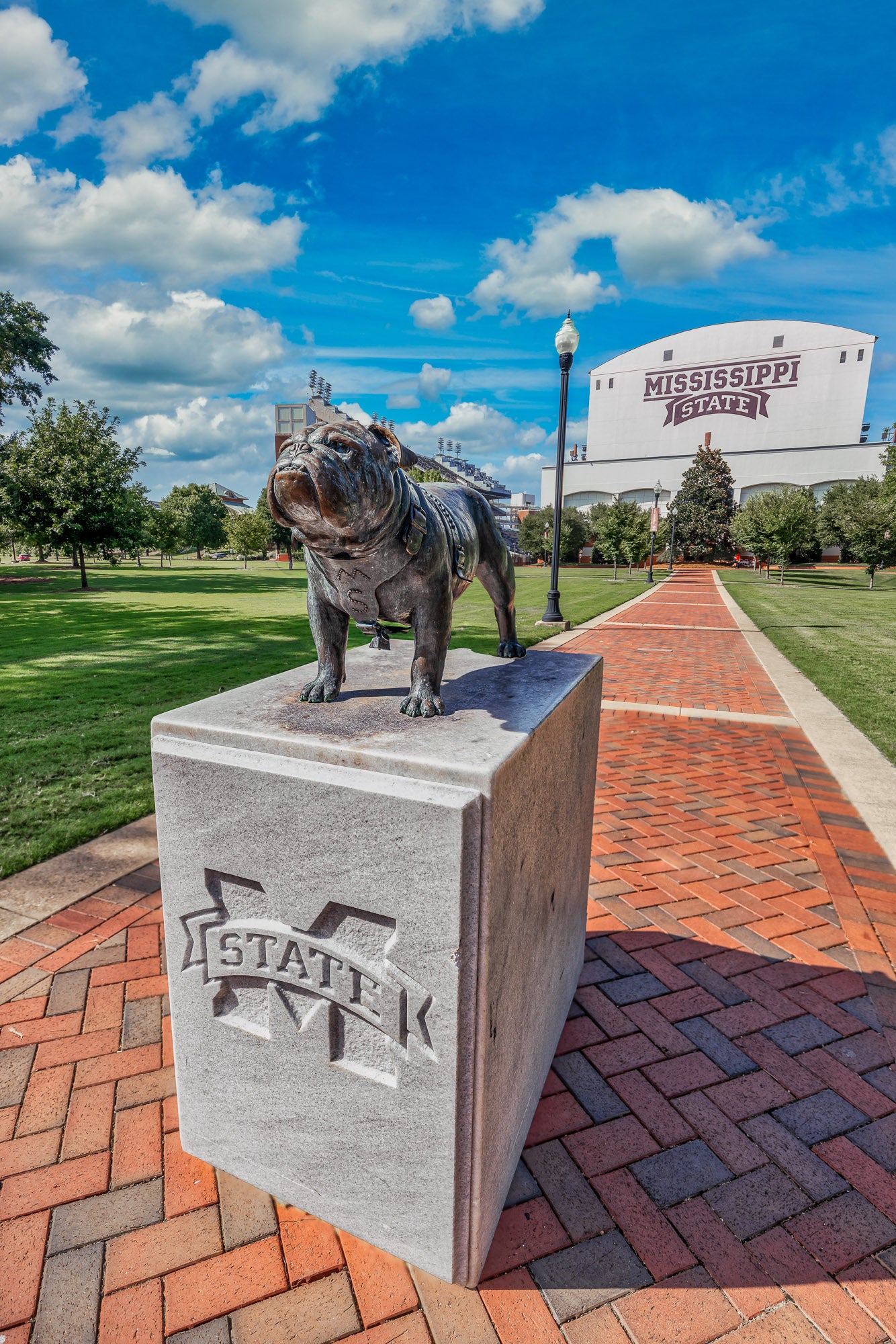 Top Dog in Starkville