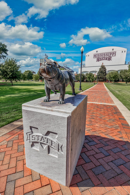 Top Dog in Starkville