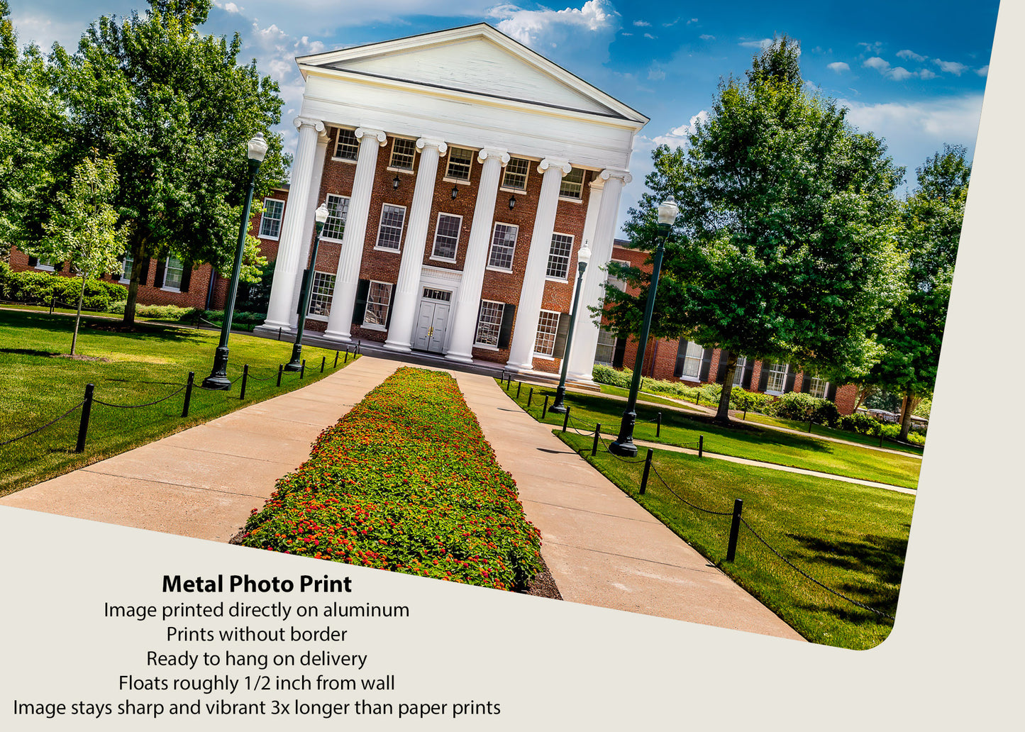 Pillars of Ole Miss