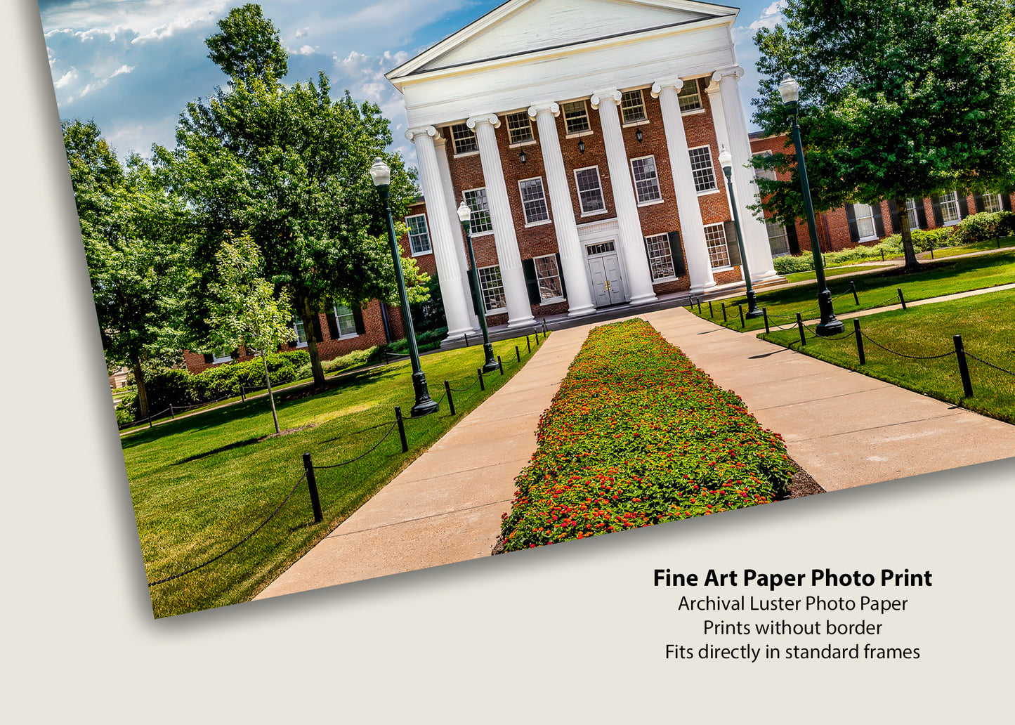 Pillars of Ole Miss