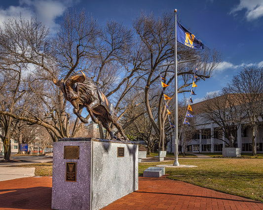 Bill the GOAT image 0