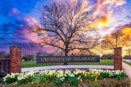 Welcome to the University of Delaware image 0