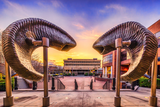 Ramming through to Sunset image 0