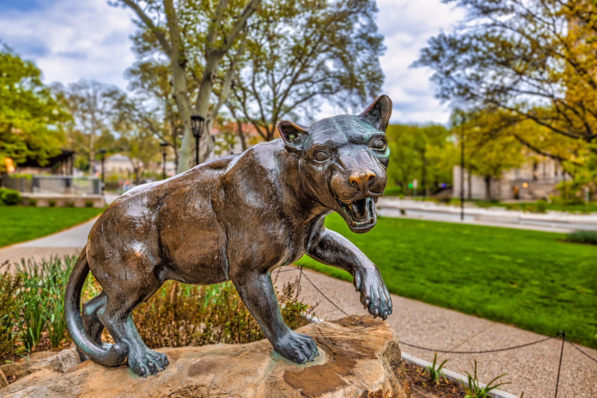 Pitt Panther Statue image 0